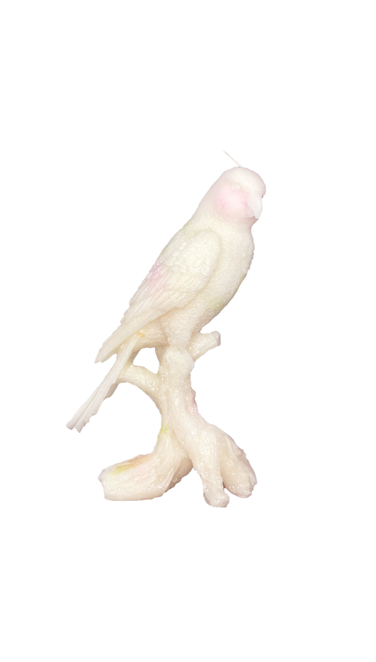 The Parrot Candle