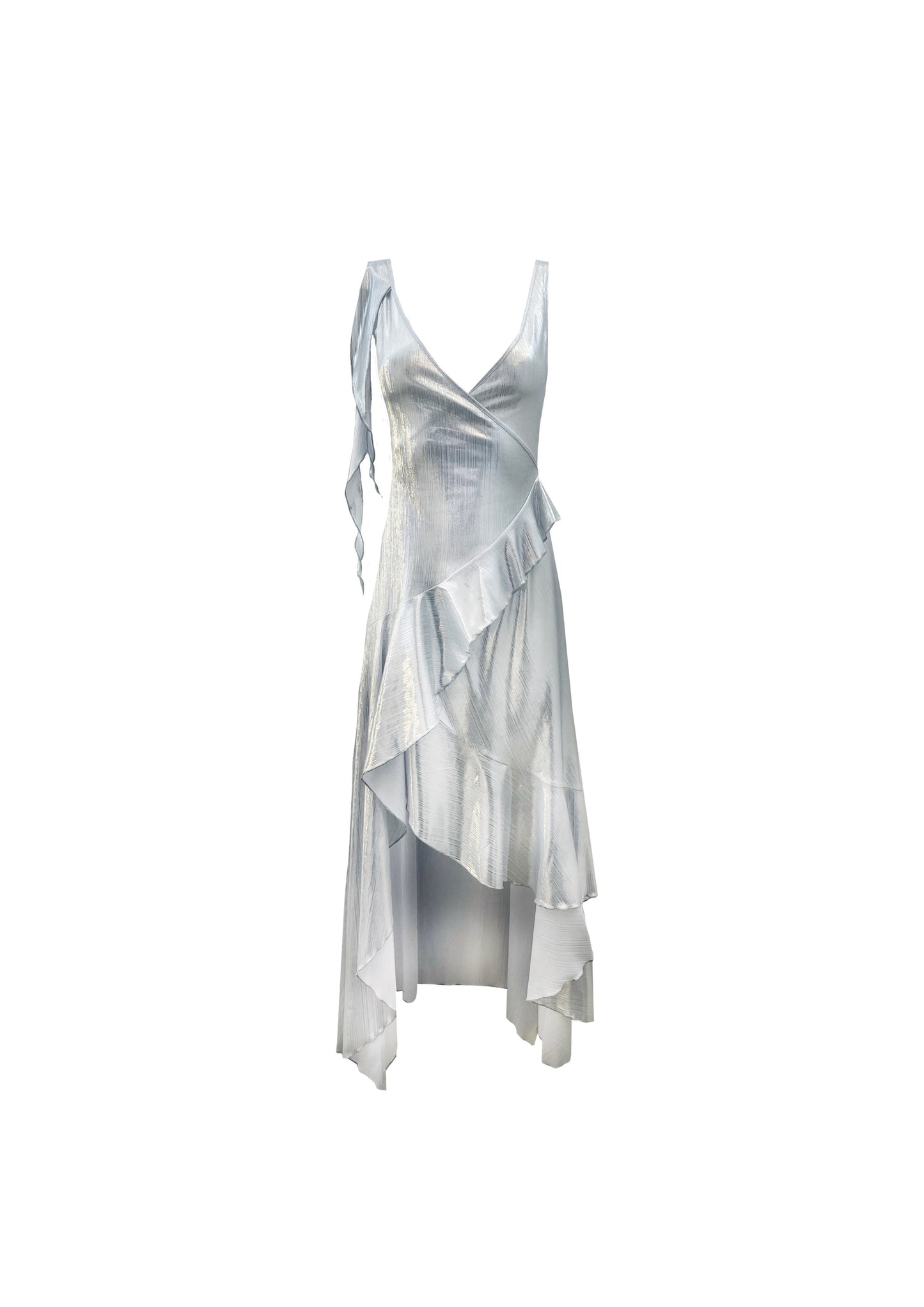 The Shiny Silver Dress