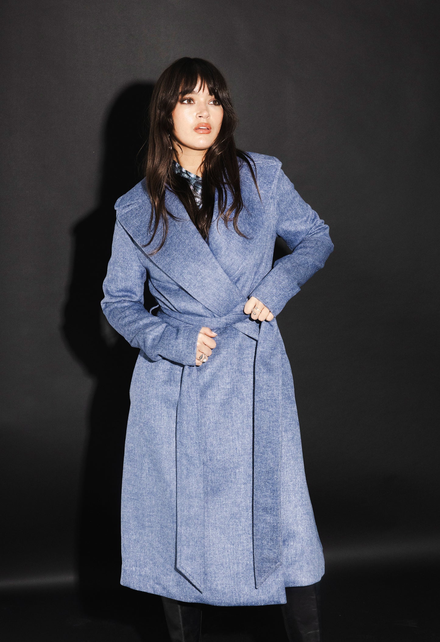 The Wool Coat - Blue