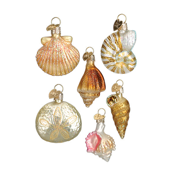 Sea Shells