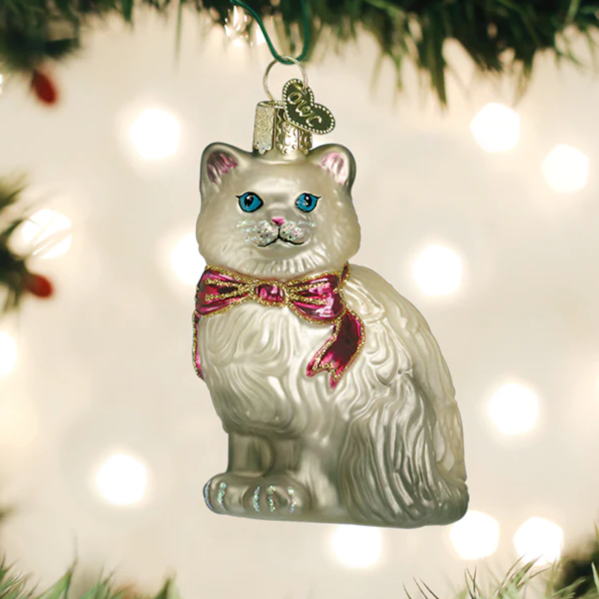 Grey Himalayan Kitty