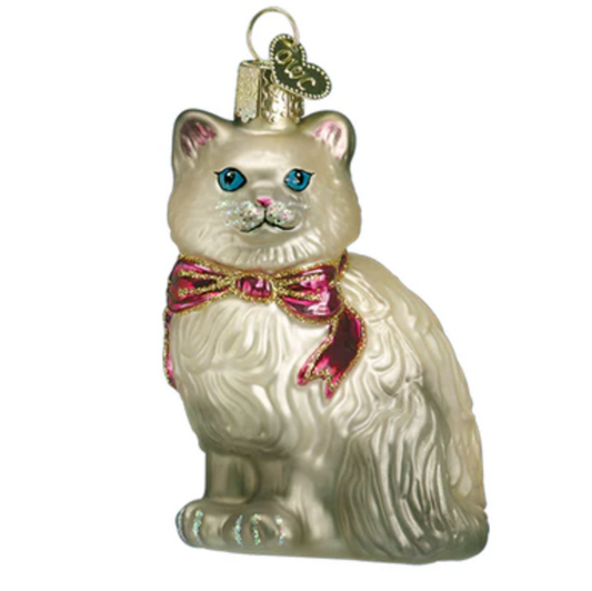 Grey Himalayan Kitty