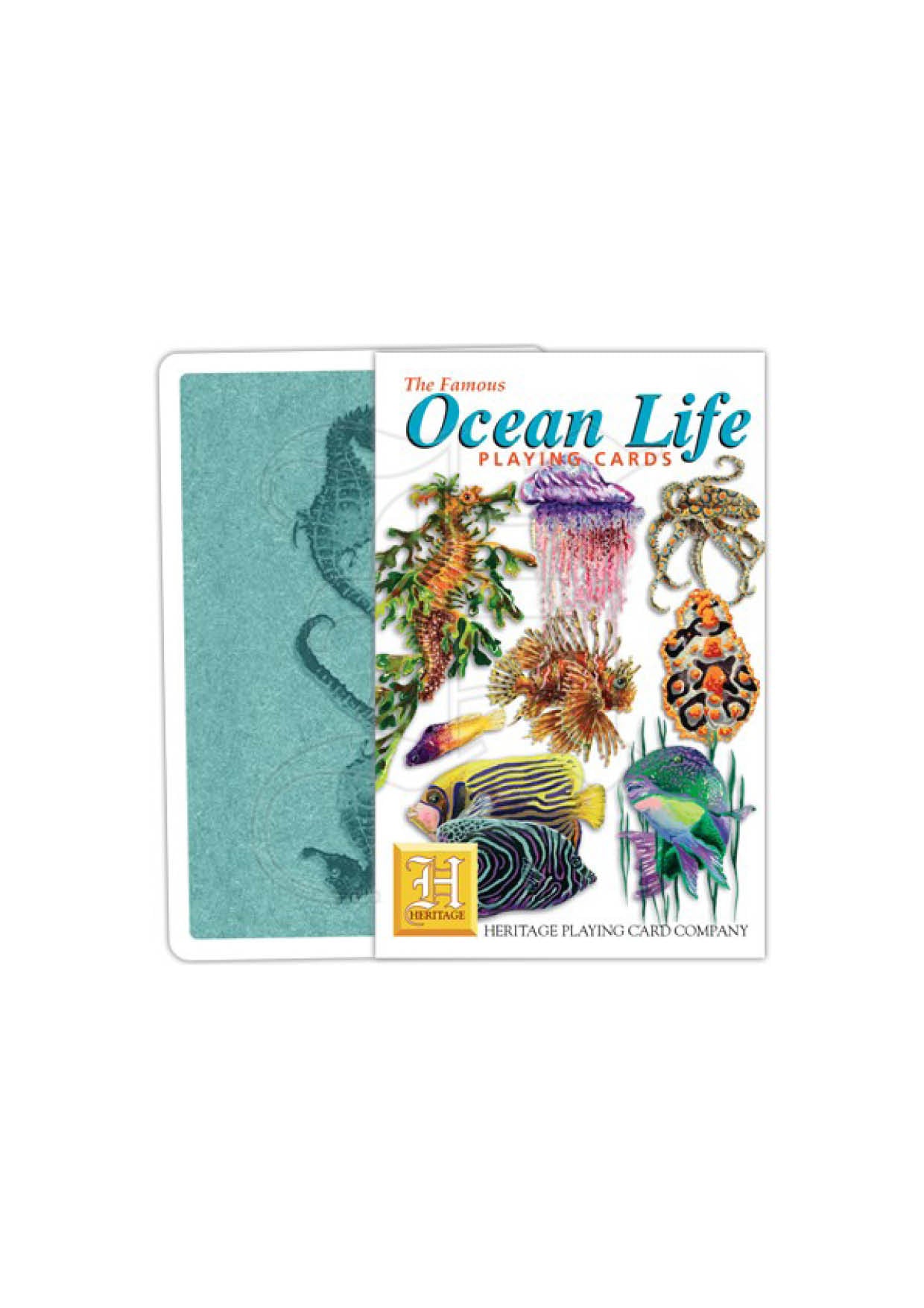 Ocean Life