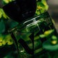I am Verdant