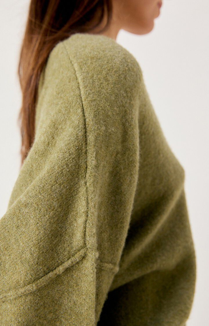 Damsville Jumper Lezard Chine