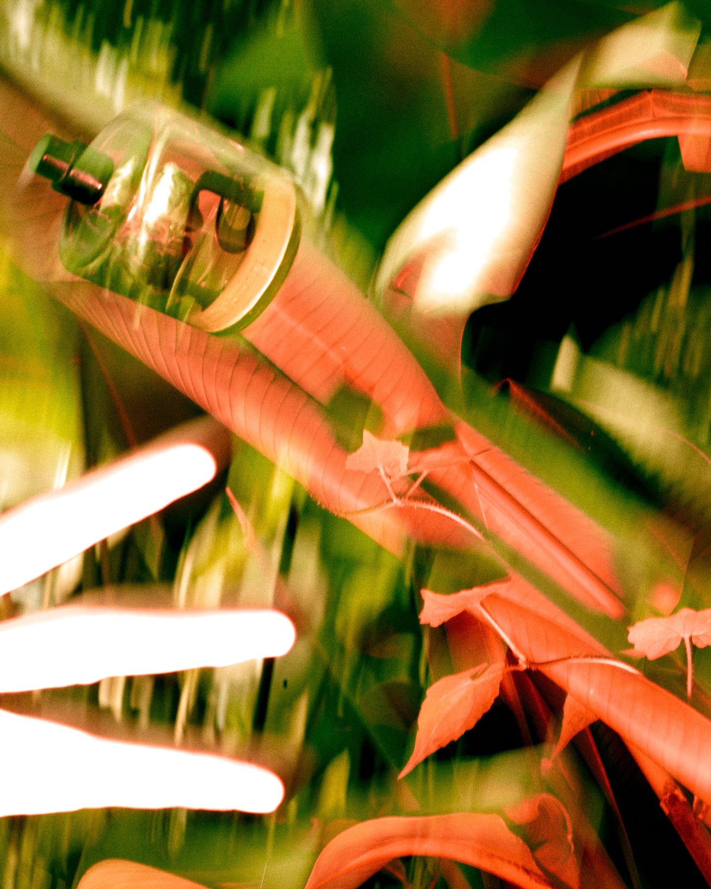 I am Verdant