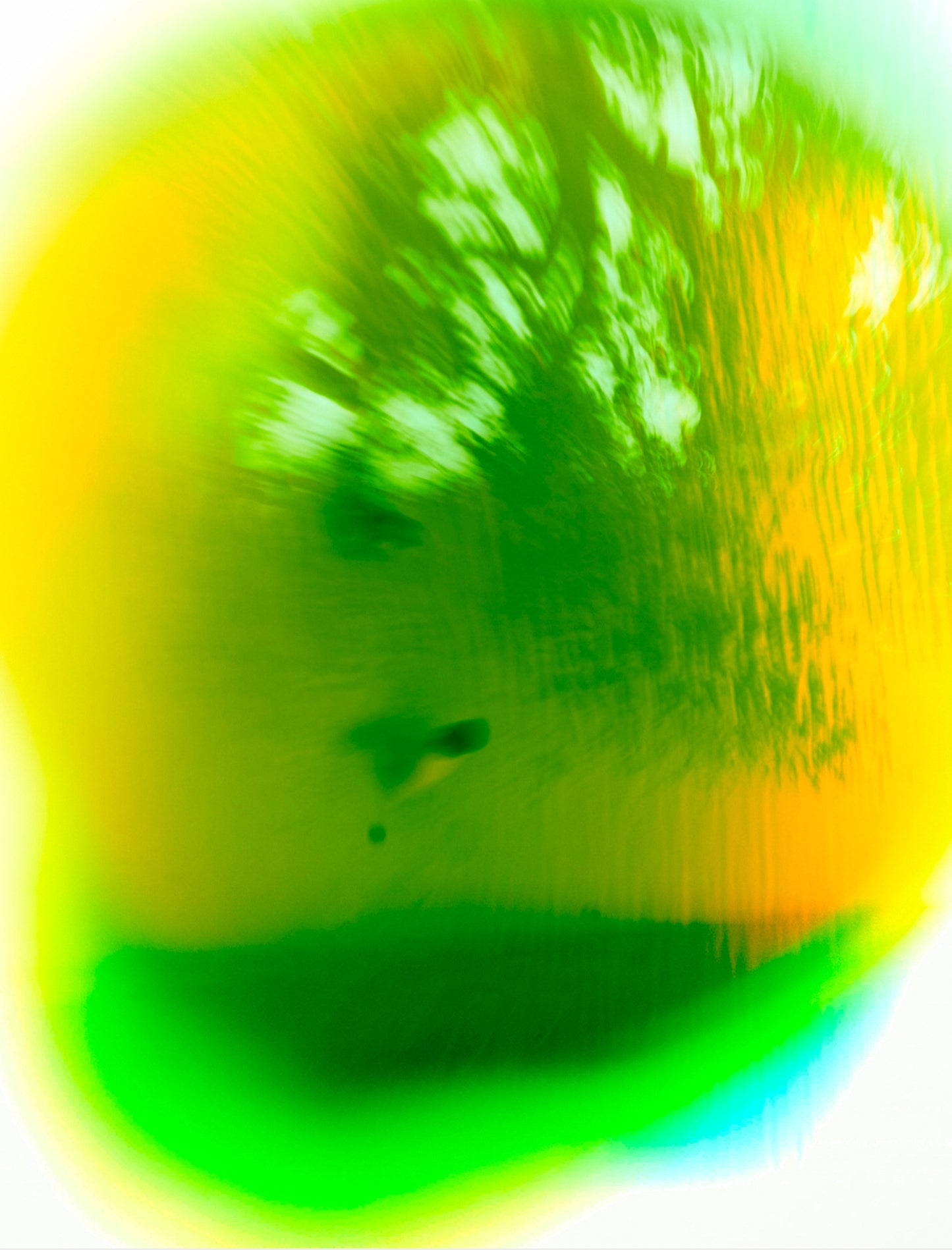 I am Verdant