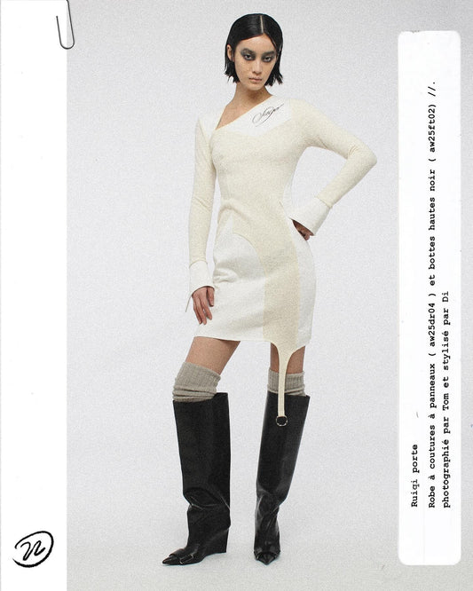 Panelled Seam Dress