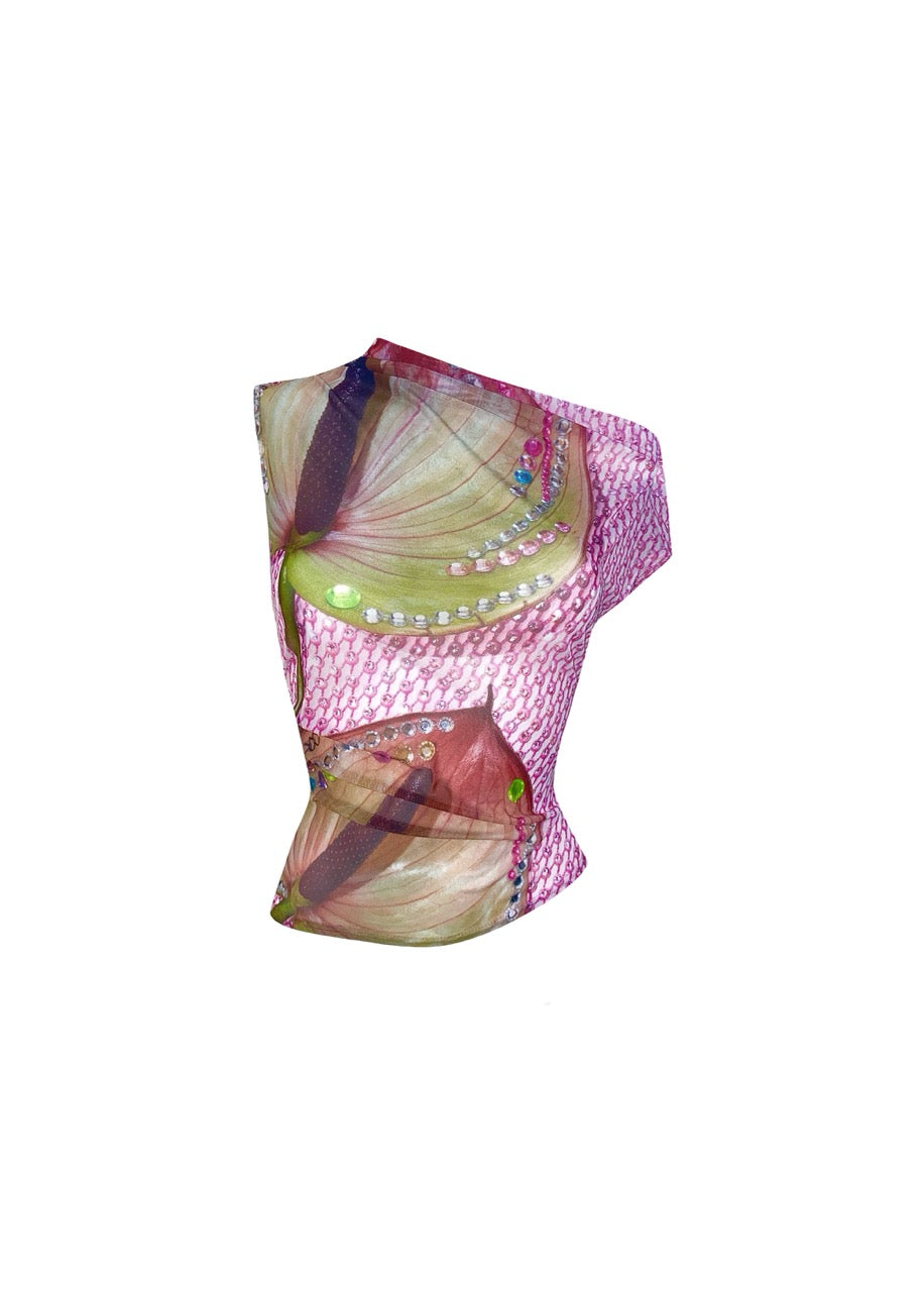 Asymmetric Top in Flamingo Flower