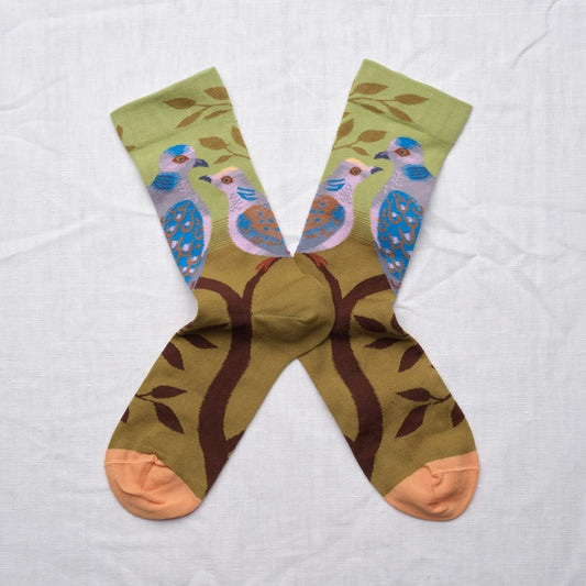 Paris - The Pigeons Socks