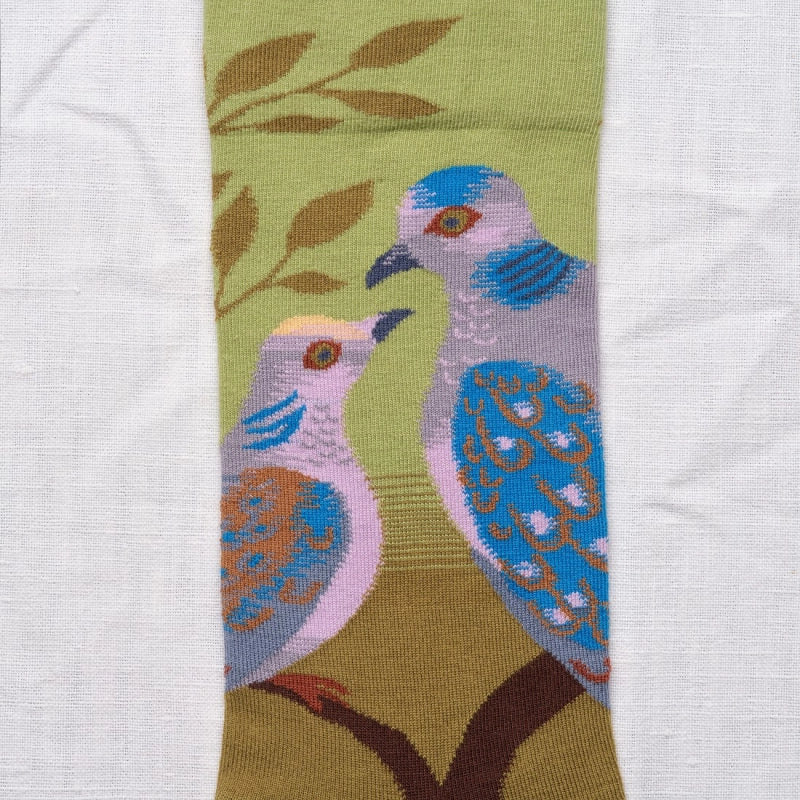 Paris - The Pigeons Socks