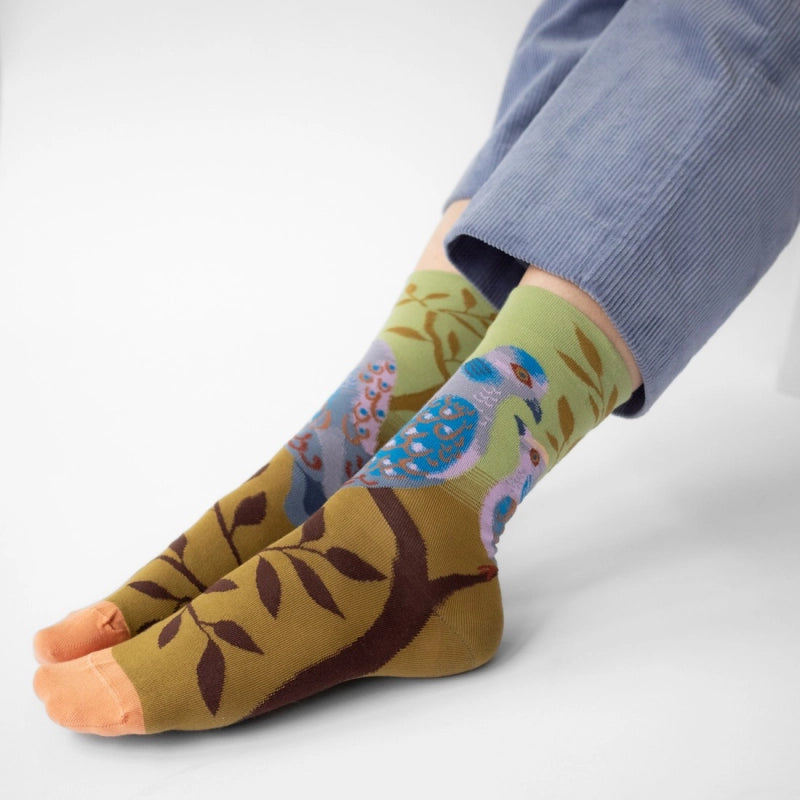 Paris - The Pigeons Socks