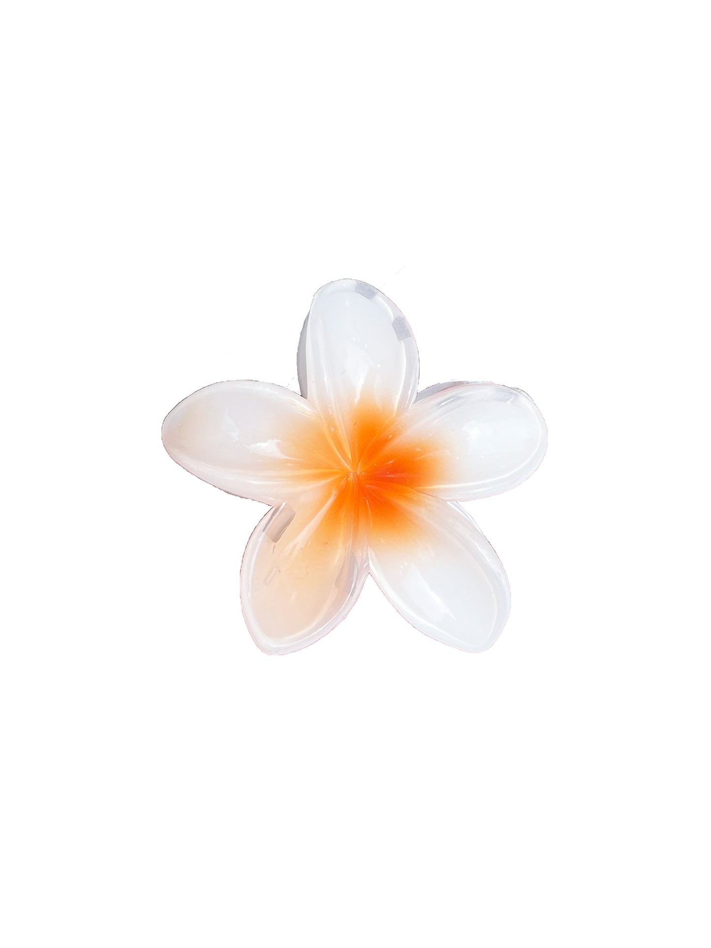 Tropical Flower Clip - White