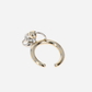 Aimee Ring